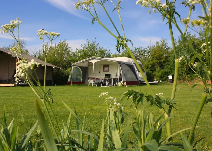 Caravan Met Wijds Uitzicht